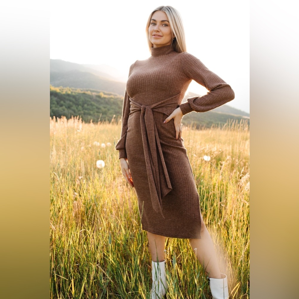Ivy City Co Jensen Dress in Mocha - Medium